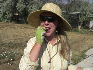 Lucinda enjoying the first tomato of the season Lucinda enjoying the first tomato of the season