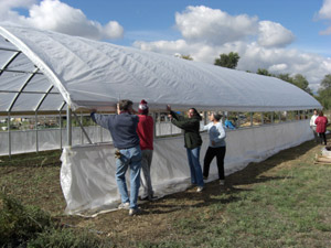 Volunteers helping put the cover on large high tunnel house in October 2011