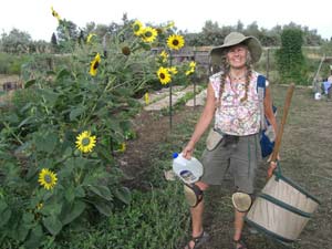 Volunteer at Father Earth Organic Farm Volunteer at Father Earth Organic Farm