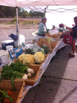 Farmers' Market