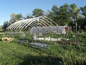 Construction of steel frame high tunnel house: June 2011